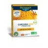 DIETAROMA CURCUMA BIO 60CPS