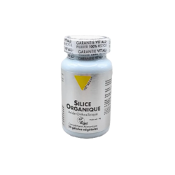 VIT'ALL+ SILICE 100MG 30GEL